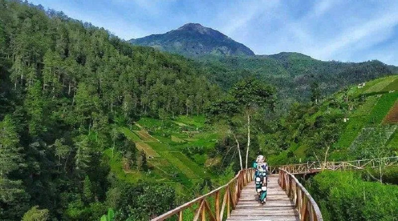 Abis Jalan-Jalan Langsung Makan! 7 Rekomendasi Kuliner Dekat Wisata Tawangmangu!