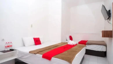 Bawa Anabul Liburan? Ini 4 Hotel Pet-Friendly di Tawangmangu yang Wajib Kamu Coba!