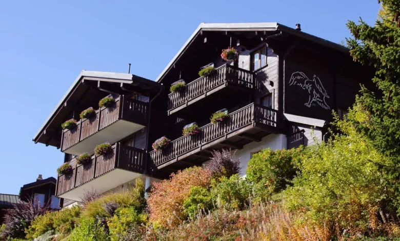 Bawa Anabulmu! 5 Penginapan Pet-Friendly di Tawangmangu, Dijamin Nyaman untuk Semua Anggota Keluarga Berbulu!