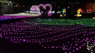 Bosan yang Itu-Itu Aja? Intip 6 Wisata Malam Jogja Anti Mainstream, Ada Hidden Gem Tersembunyi!