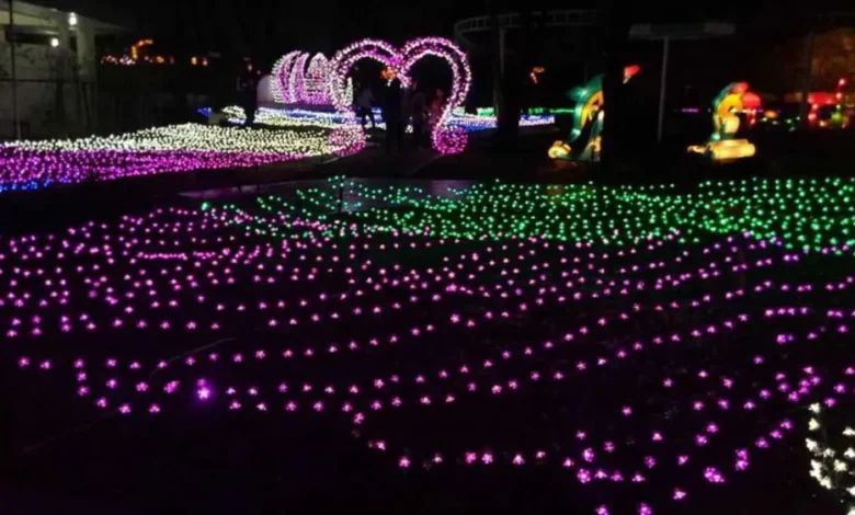 Bosan yang Itu-Itu Aja? Intip 6 Wisata Malam Jogja Anti Mainstream, Ada Hidden Gem Tersembunyi!