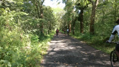 Mencari Ketenangan Batin? 5 Tempat Meditasi & Retret Spiritual Terbaik di Wonogiri!