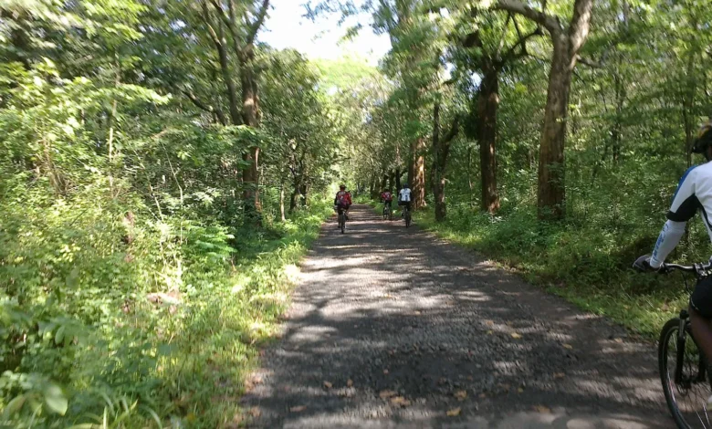 Mencari Ketenangan Batin? 5 Tempat Meditasi & Retret Spiritual Terbaik di Wonogiri!