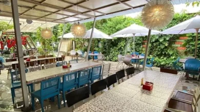 Nikmati Kuliner Khas Solo Tanpa Keluar Hotel! Sensasi Rasa di Restoran Bintang 4 Terbaik.