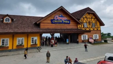 Panduan Transportasi di Boyolali untuk Keluarga: Nyaman, Aman & Mudah Sampai Tujuan!