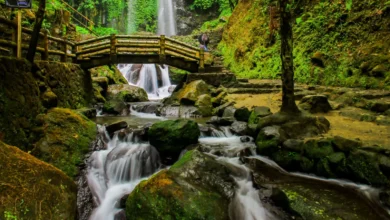 Ritual Pembersihan Diri Hingga Pencarian Jodoh? Mengungkap Tradisi Unik di Sumber Air Keramat Karanganyar