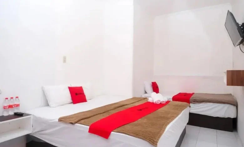 Bawa Anabul Liburan? Ini 4 Hotel Pet-Friendly di Tawangmangu yang Wajib Kamu Coba!