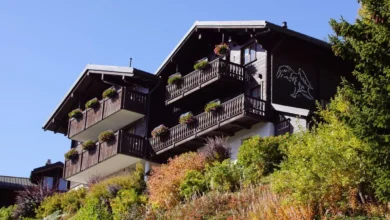 Bawa Anabulmu! 5 Penginapan Pet-Friendly di Tawangmangu, Dijamin Nyaman untuk Semua Anggota Keluarga Berbulu!