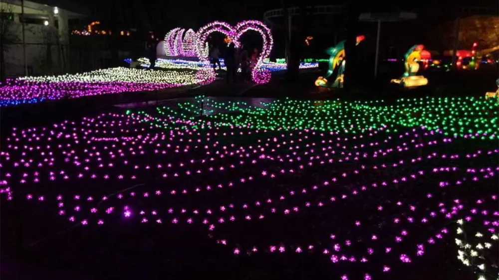 Bosan yang Itu-Itu Aja? Intip 6 Wisata Malam Jogja Anti Mainstream, Ada Hidden Gem Tersembunyi!