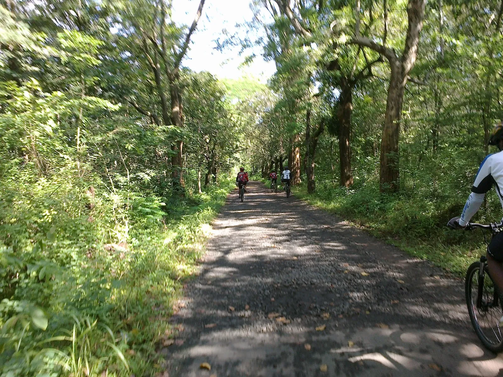 Mencari Ketenangan Batin? 5 Tempat Meditasi & Retret Spiritual Terbaik di Wonogiri!