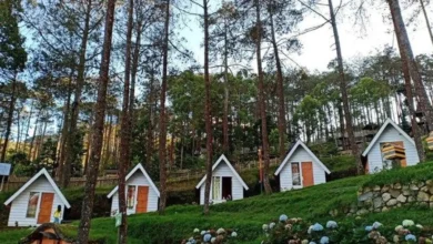 Panduan Lengkap Wisata Tawangmangu: Dari Grojogan Sewu Sampai Sakura Hills, Pulangnya ke Penginapan Bebas!