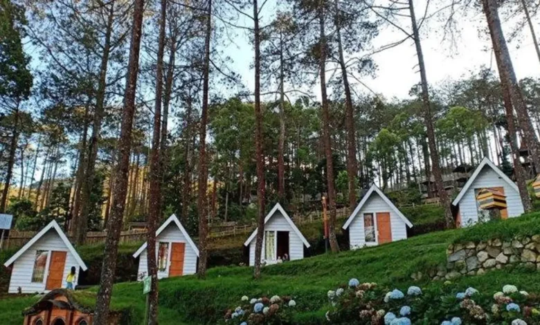 Panduan Lengkap Wisata Tawangmangu: Dari Grojogan Sewu Sampai Sakura Hills, Pulangnya ke Penginapan Bebas!