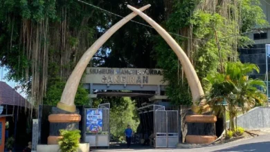 Pecahkan Misteri Manusia Purba! Petualangan Edukatif Tak Terlupakan di Museum Sangiran yang Mengubah Sudut Pandangmu!