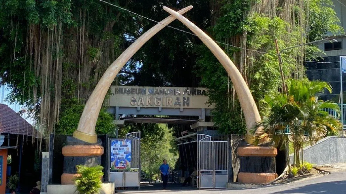 Pecahkan Misteri Manusia Purba! Petualangan Edukatif Tak Terlupakan di Museum Sangiran yang Mengubah Sudut Pandangmu!