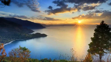 Pemandangan Spektakuler! 5 Hotel Tawangmangu dengan View Gunung Lawu Terbaik