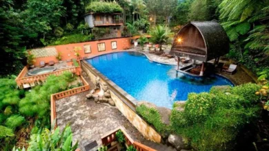 Romantis Abis! 6 Hotel Tawangmangu Paling Cocok untuk Bulan Madu & Pasangan