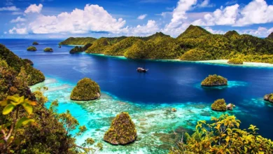 Wisata Edukasi di Soloraya