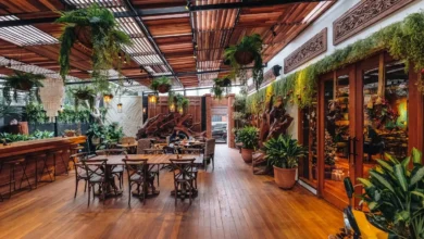 Asyiknya Ngopi Bareng Anabul! Cafe Pet-Friendly di Tawangmangu yang Bikin Betah!