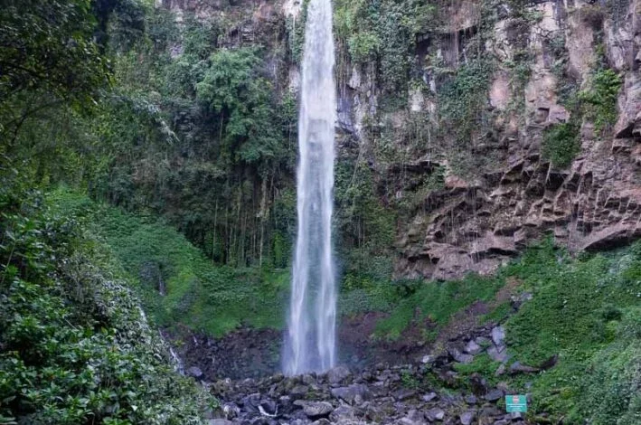 Bukan Cuma Grojogan Sewu! Intip 3 Air Terjun Tersembunyi di Tawangmangu yang Bikin Adem!