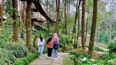 Kapan Waktu Terbaik ke Tawangmangu? Panduan Musiman untuk Liburan Maksimal!