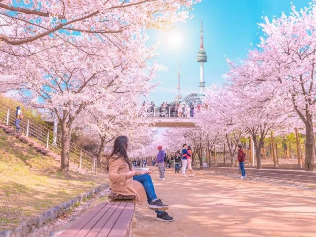 Kapan Waktu Terbaik Kunjungi Sragen? Panduan Musim Liburan dan Cuaca Ideal Biar Liburan Makin Maksimal!