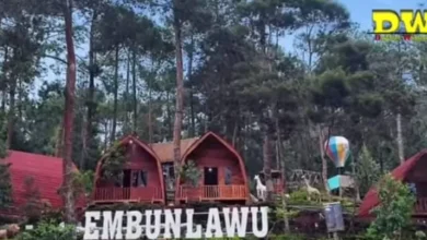 Liburan Keluarga Anti Bosan! 7 Destinasi Alam Tawangmangu Ramah Anak (Dijamin Betah!)