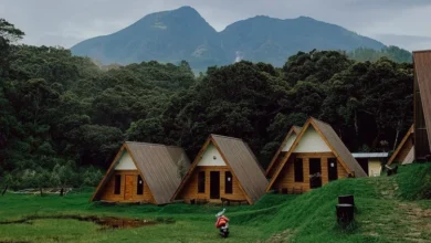 Taklukkan Lawu! 5 Jalur Pendakian Tawangmangu yang Wajib Kamu Coba (Bonus View Langka!)