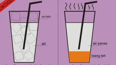Wajib Coba! 7 Minuman Tradisional Solo yang 'Naik Kelas' di Angkringan Eksklusif Ini, Dijamin Bikin Seger!