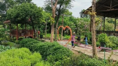 Belajar Sambil Bermain! Destinasi Eduwisata Sukoharjo yang Bikin Anak Betah dan Pintar!