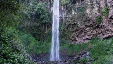 Bukan Cuma Grojogan Sewu! Intip 3 Air Terjun Tersembunyi di Tawangmangu yang Bikin Adem!