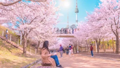 Kapan Waktu Terbaik Kunjungi Sragen? Panduan Musim Liburan dan Cuaca Ideal Biar Liburan Makin Maksimal!