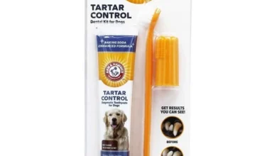 Kata Mereka yang Sudah Coba: Mengapa "Sate Tawangmangu Terkenal" Pantas Disebut Legendaris! (Review Jujur & Rating!)