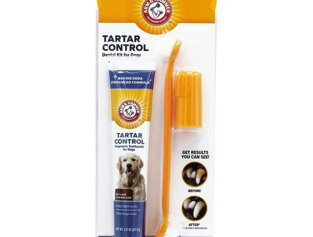 Kata Mereka yang Sudah Coba: Mengapa "Sate Tawangmangu Terkenal" Pantas Disebut Legendaris! (Review Jujur & Rating!)