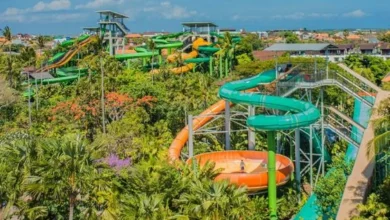 Liburan Keluarga Anti Bosan! Destinasi Wisata Ramah Anak di Sragen yang Edukatif & Seru Abis!