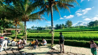 Makan Sambil Healing! 4 Tempat Makan Viral di Wonogiri dengan Pemandangan Alam Paling Memukau Bikin Betah!