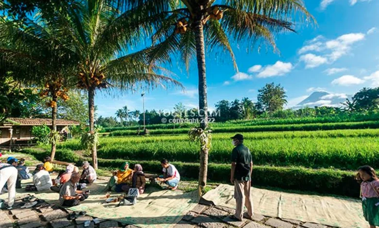 Makan Sambil Healing! 4 Tempat Makan Viral di Wonogiri dengan Pemandangan Alam Paling Memukau Bikin Betah!