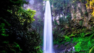 Ngopi Cantik Dekat Air Terjun Grojogan Sewu? Ini Dia Cafe Tersembunyi di Sekitar Tawangmangu!