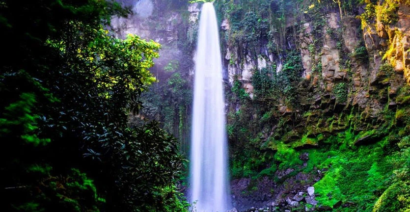 Ngopi Cantik Dekat Air Terjun Grojogan Sewu? Ini Dia Cafe Tersembunyi di Sekitar Tawangmangu!