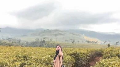 Segarnya Kebun Teh Tawangmangu: Destinasi Agrowisata yang Bikin Pikiran Fresh!