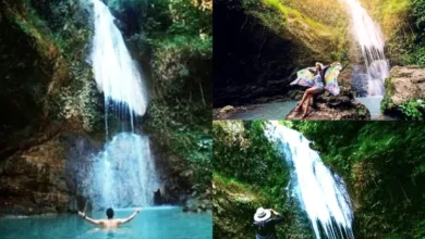 Terbongkar! Hidden Gem Kuliner Viral Wonogiri yang Cuma Orang Lokal Tahu (Dijamin Nyesel Kalo Gak Coba!)